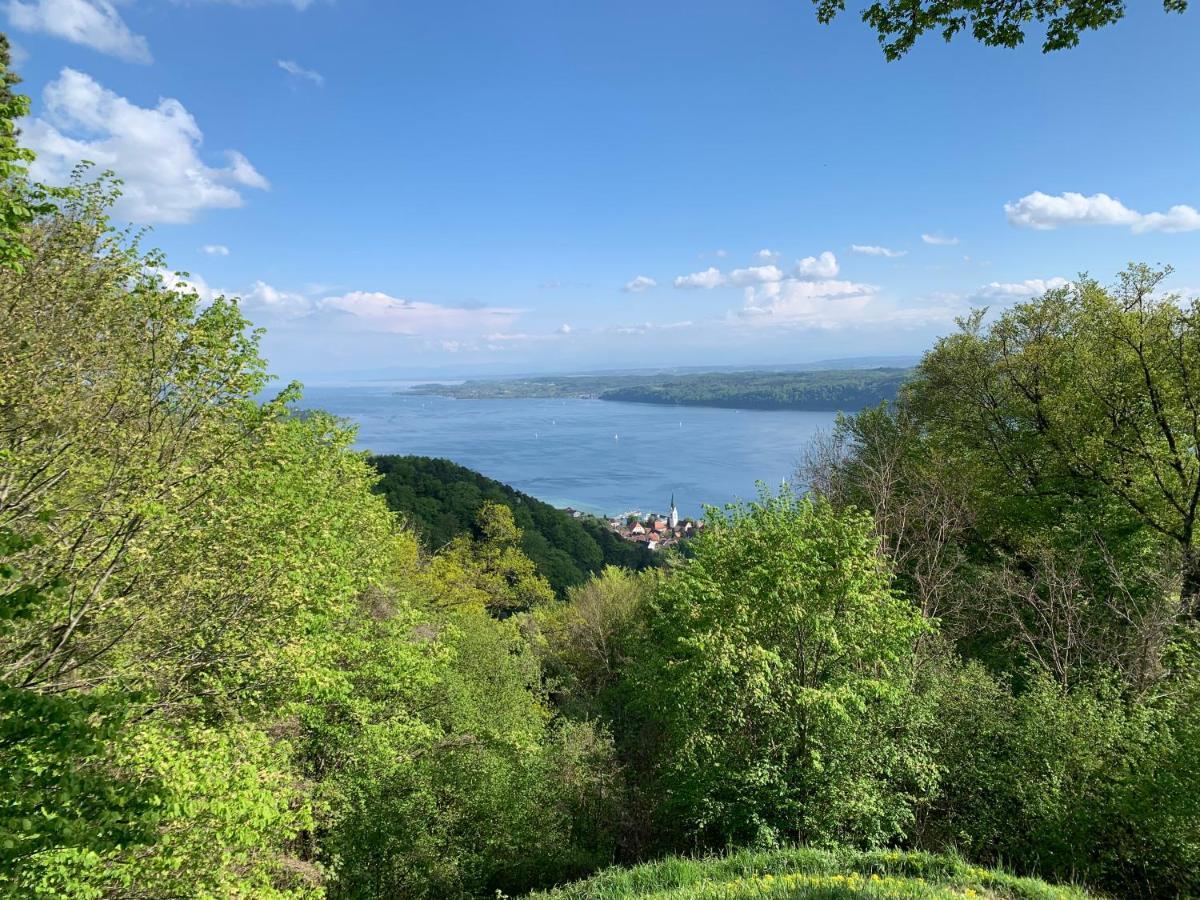 Gasthaus Traube, Ludwigshafen, Bodensee, Seenah Gelegen บอดมัน-ลุดวิกส์ฮาเฟิน ภายนอก รูปภาพ